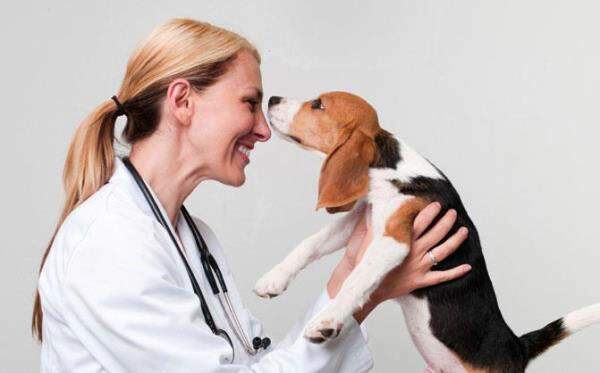 Common Pet Health Issues and How to Prevent Them